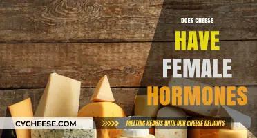 Does Cheese Contain Female Hormones? Unraveling the Dairy Myth