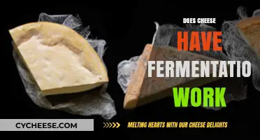 Exploring Cheese Fermentation: How Microbes Transform Milk into Delicious Cheese