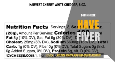 Does Cheese Have Fiber? Unraveling the Nutritional Truth About Dairy