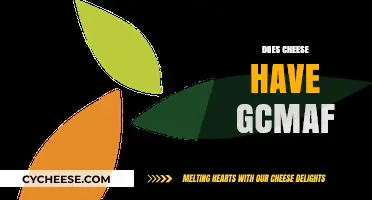 Does Cheese Contain GcMAF? Uncovering the Truth About This Compound