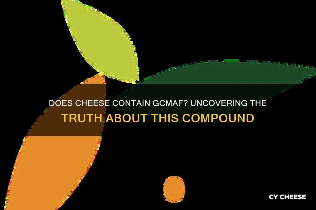 does cheese have gcmaf