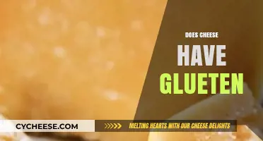 Does Cheese Contain Gluten? A Clear Answer for Your Diet