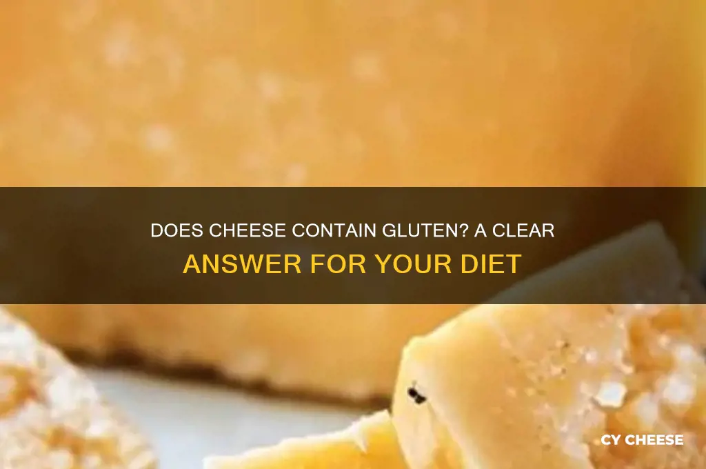 does cheese have glueten