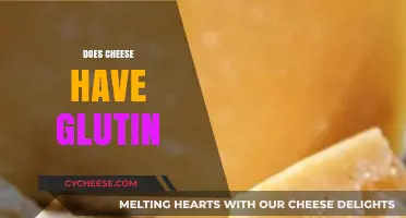 Does Cheese Contain Gluten? Unraveling the Truth for Celiac Diets