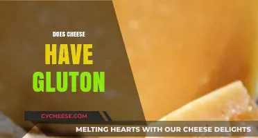 Does Cheese Contain Gluten? Unraveling the Truth for Dietary Clarity