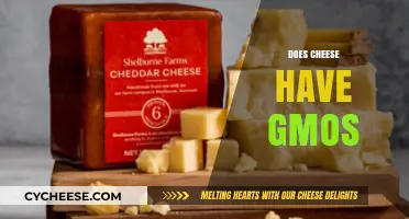Does Cheese Contain GMOs? Unraveling the Truth About Your Favorite Dairy