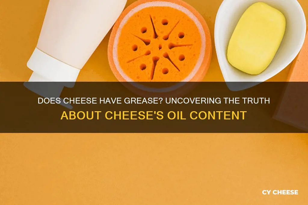 does cheese have grease