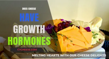 Does Cheese Contain Growth Hormones? Unraveling the Dairy Debate