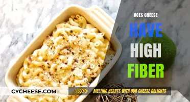 Does Cheese Have High Fiber? Uncovering the Truth About Dairy Nutrition