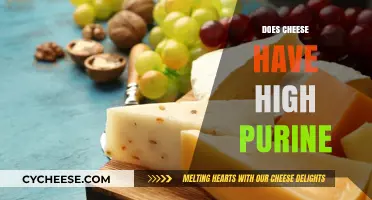 Does Cheese Have High Purine? Uncovering the Truth for Gout Diets