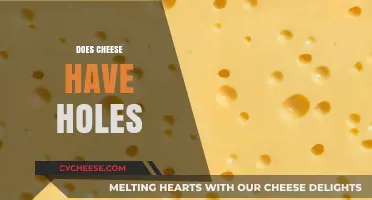 Cheese Holes: Myth or Reality? Exploring the Truth Behind the Pores