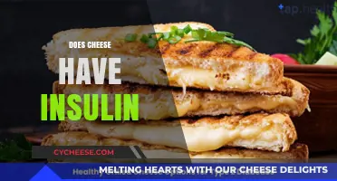 Does Cheese Affect Insulin Levels? Unraveling the Dairy-Diabetes Connection