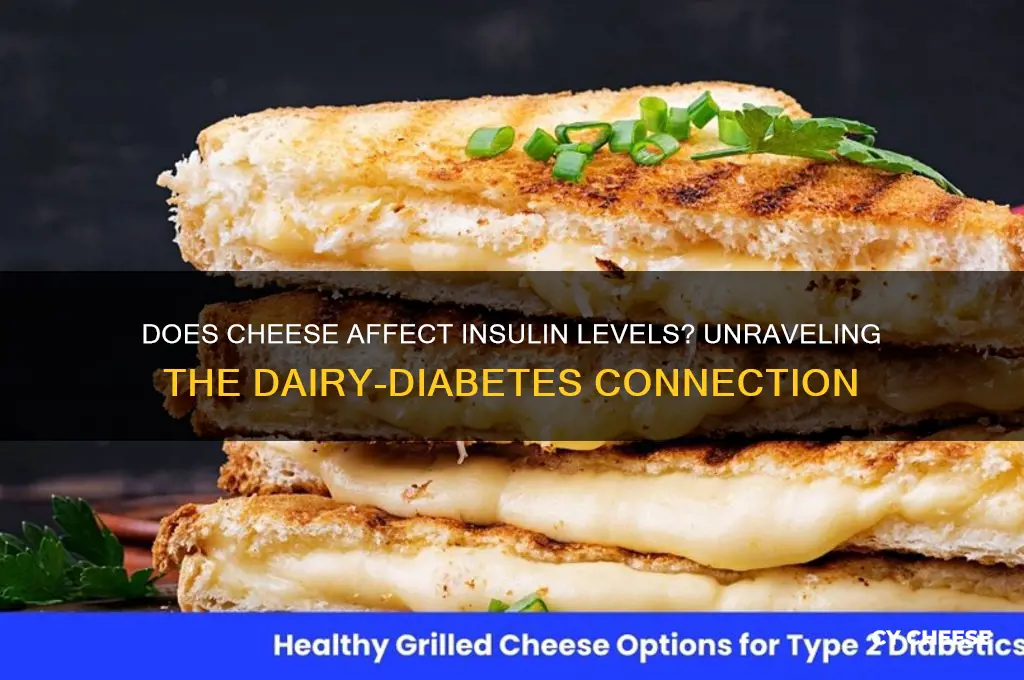 does cheese have insulin