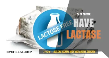 Does Cheese Contain Lactase? Unraveling the Lactose-Free Cheese Myth