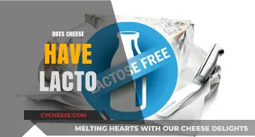 Does Cheese Contain Lactose? Unraveling the Truth About Dairy
