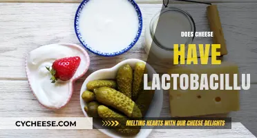 Does Cheese Contain Lactobacillus? Unraveling the Probiotic Mystery