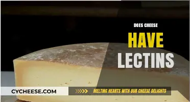 Does Cheese Contain Lectins? Uncovering the Truth About Dairy and Lectins
