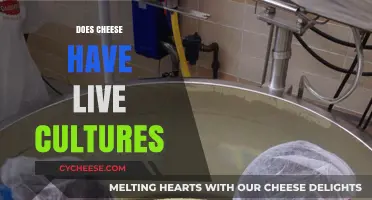 Does Cheese Have Live Cultures? Uncovering the Truth About Fermented Dairy