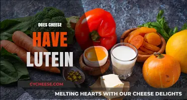 Does Cheese Contain Lutein? Uncovering the Truth About This Nutrient