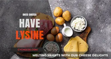 Does Cheese Have Lysine? Uncovering the Nutritional Benefits of Cheese