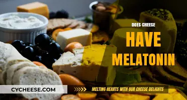 Does Cheese Contain Melatonin? Unraveling the Sleep-Inducing Myth
