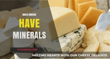 Cheese's Mineral Content: Uncovering Nutrients in Your Favorite Dairy Delight