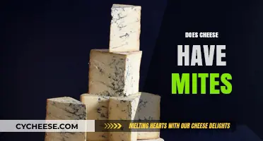 Cheese Mites: Uncovering the Tiny Truth Behind Your Favorite Dairy