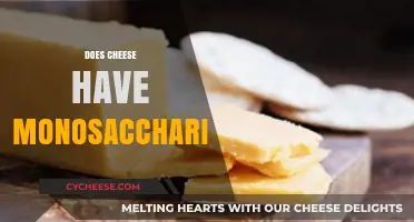 Does Cheese Contain Monosaccharides? Uncovering the Sweet Truth About Dairy