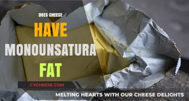 Does Cheese Contain Monounsaturated Fat? Uncovering the Nutritional Truth