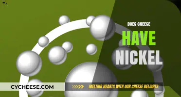 Does Cheese Contain Nickel? Uncovering the Truth About Dairy and Allergens