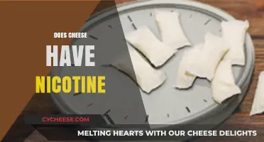 Does Cheese Contain Nicotine? Unraveling the Surprising Truth About Dairy