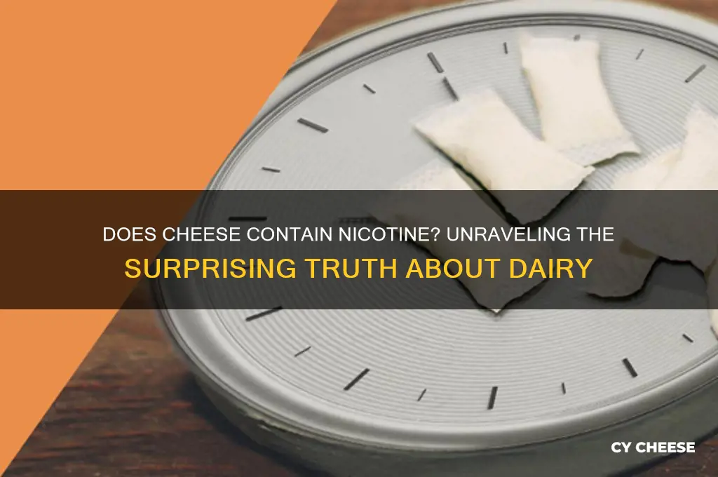 does cheese have nicotine