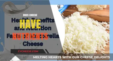 Cheese Nutrition: Uncovering the Surprising Health Benefits and Nutrients