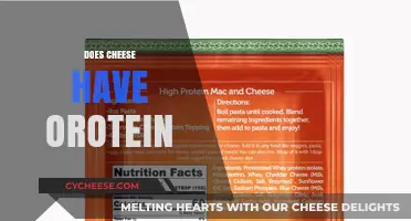 Does Cheese Have Protein? Uncovering Nutritional Facts and Benefits