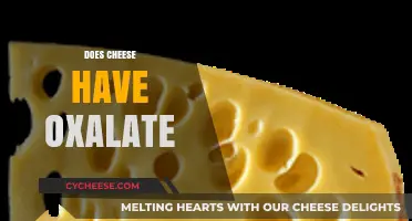 Does Cheese Contain Oxalate? Uncovering the Truth About Cheese and Oxalates