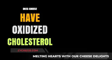 Does Cheese Contain Oxidized Cholesterol? Unraveling the Facts and Myths