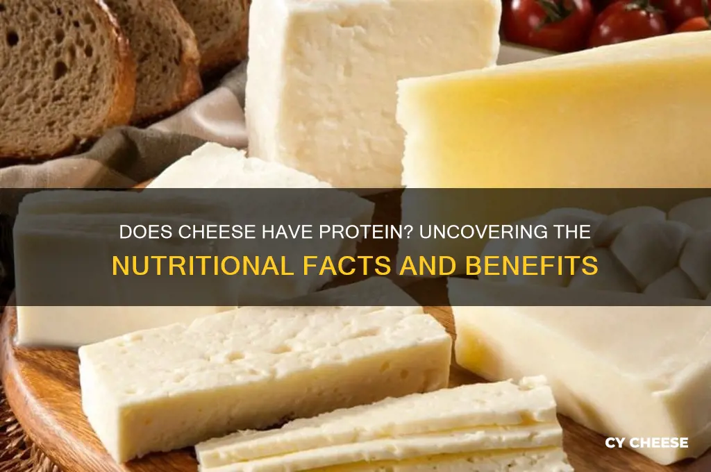 does cheese have peotein
