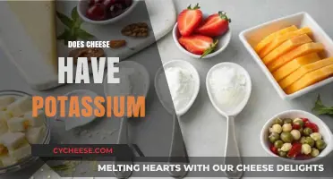 Does Cheese Have Potassium? Uncovering Nutritional Facts About Dairy
