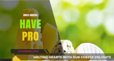 Does Cheese Have Probiotics? Unlocking Its Health Benefits and Myths