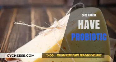 Cheese and Probiotics: Uncovering the Truth About Fermented Dairy Benefits