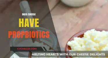 Does Cheese Contain Probiotics? Uncovering the Truth About Fermented Dairy