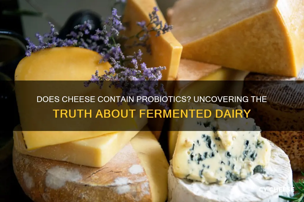 does cheese have propbiotics