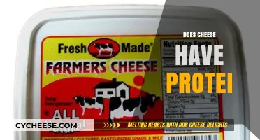 Does Cheese Have Protein? Uncovering the Nutritional Facts