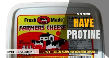 Does Cheese Have Protein? Uncovering Nutritional Facts and Benefits