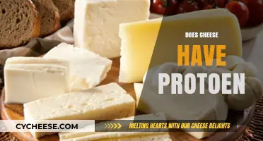 Does Cheese Have Protein? Uncovering Nutritional Facts and Benefits