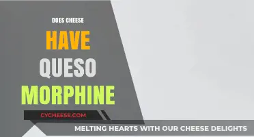 Does Cheese Contain Queso Morphine? Unraveling the Myth and Facts