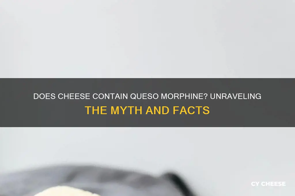 does cheese have queso morphine