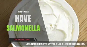 Can Cheese Carry Salmonella? Understanding the Risks and Facts