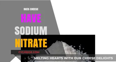 Does Cheese Contain Sodium Nitrate? Uncovering the Truth About Preservatives