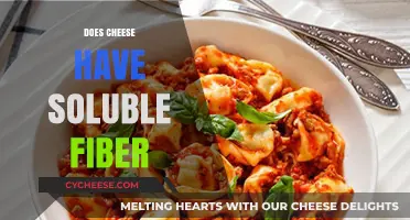 Does Cheese Contain Soluble Fiber? Unraveling the Nutritional Truth